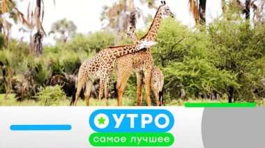 25 марта 2021 года 25.03.2021