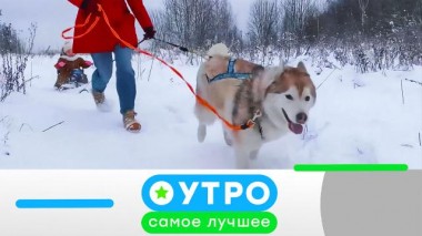 25 ноября 2020 года 25.11.2020