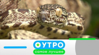 26 апреля 2021 года 26.04.2021