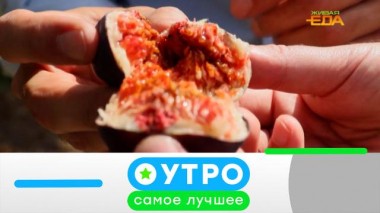 26 июля 2022 года 26.07.2022