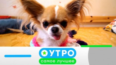 26 июня 2023 года 26.06.2023