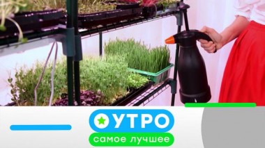 27 июля 2023 года 26.07.2023