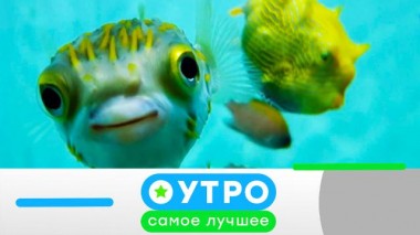 27 марта 2023 года 27.03.2023