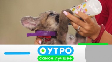 27 октября 2021 года 27.10.2021