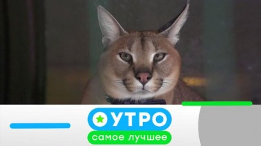 27 сентября 2022 года 27.09.2022