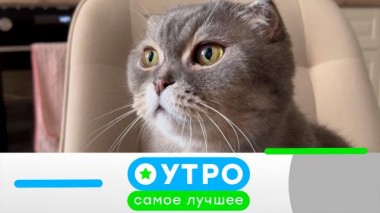 27 сентября 2023 года 27.09.2023