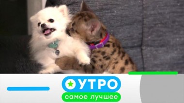 28 октября 2022 года 28.10.2022