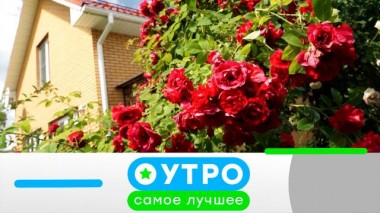 29 августа 2023 года 29.08.2023