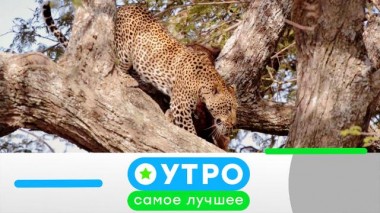 29 марта 2021 года 28.03.2021