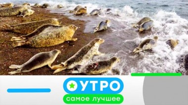 29 ноября 2021 года 29.11.2021