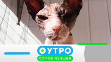 29 октября 2020 года 29.10.2020