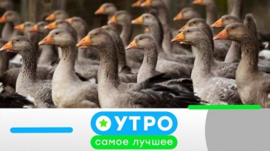 3 февраля 2023 года 03.02.2023