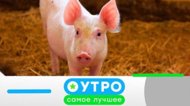 3 ноября 2022 года 03.11.2022