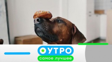 30 сентября 2020 года 30.09.2020