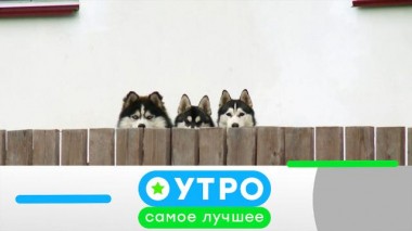 31 марта 2021 года 31.03.2021