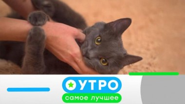 4 августа 2021 года 04.08.2021