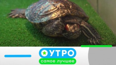 4 марта 2021 года 04.03.2021