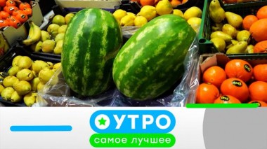 4 октября 2023 года 04.10.2023