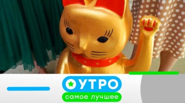 6 июля 2023 года 06.07.2023