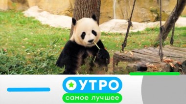 6 июня 2022 года 06.06.2022