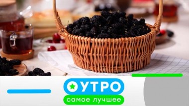 6 июня 2023 года 06.06.2023