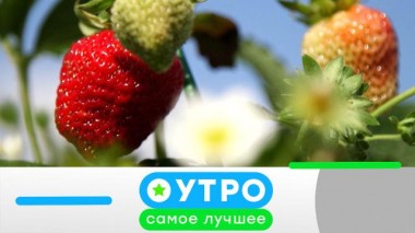 6 сентября 2021 года 05.09.2021