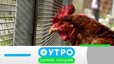 6 сентября 2023 года 06.09.2023