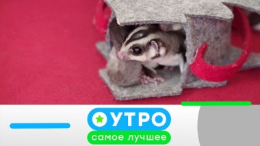 7 августа 2020 года 07.08.2020