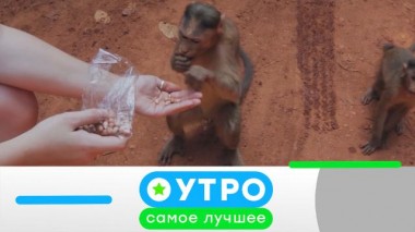 7 февраля 2022 года 07.02.2022