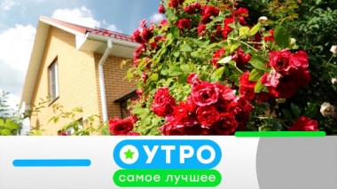 7 февраля 2023 года 07.02.2023