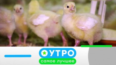 7 июля 2023 года 07.07.2023