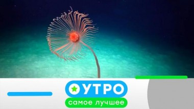 7 сентября 2021 года 06.09.2021