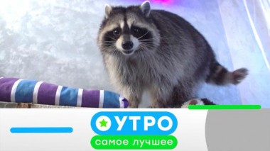 8 апреля 2021 года 08.04.2021