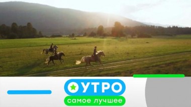 8 ноября 2022 года 08.11.2022