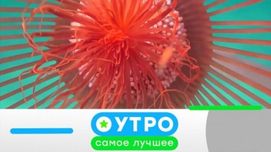 8 сентября 2020 года 08.09.2020