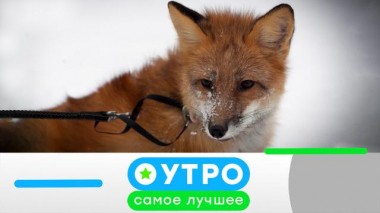 9 декабря 2022 года 09.12.2022