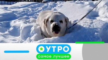 9 февраля 2021 года 09.02.2021