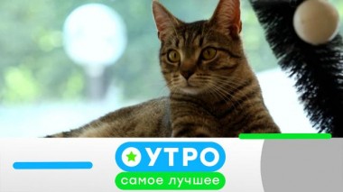 9 февраля 2023 года 09.02.2023