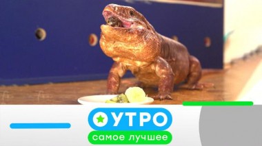 9 ноября 2021 года 09.11.2021