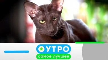 9 ноября 2022 года 09.11.2022