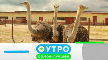 9 сентября 2020 года 09.09.2020