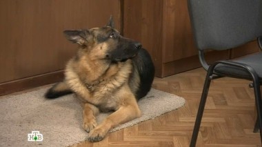 Анатомия для художников 29.11.2016