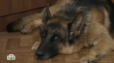 Артист 04.12.2014