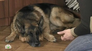 Банный день 26.10.2014