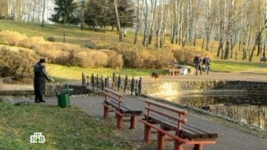 Бедный Вася 23.11.2017