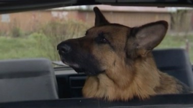 Беги, Лола 26.03.2016