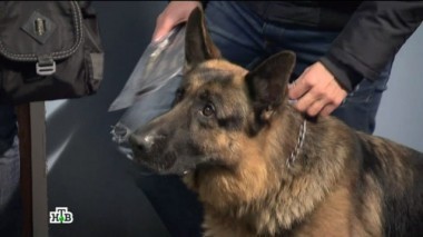 Билет в лучшую жизнь 12.10.2017