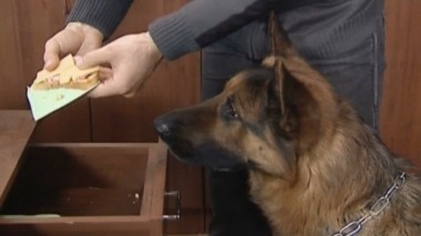 Чай с сахаром 24.01.2018