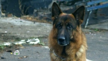 Дама в трауре и с гранатой 23.11.2017