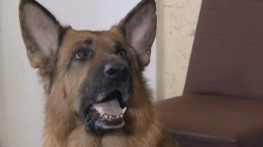 День донора 08.01.2018